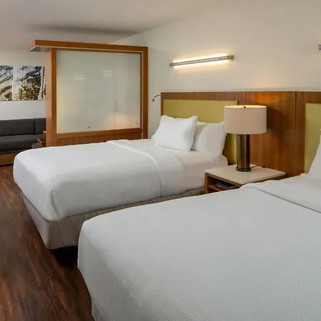 Springhill Suites By Marriott Lake Charles-3