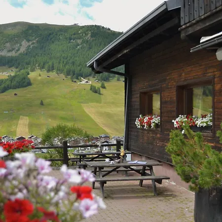 Hotel Teola-2