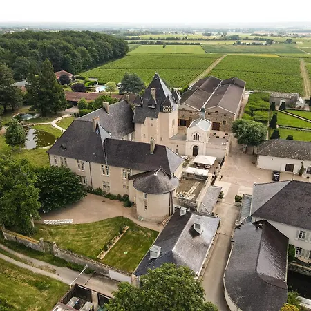 Chateau De Pizay-2