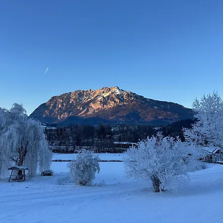 Alpen Experience Apart Hotel-2