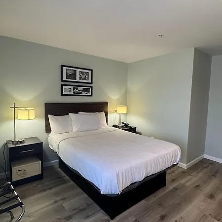 Wingate By Wyndham Bel Air I-95 Exit 77A - Apg Area-3