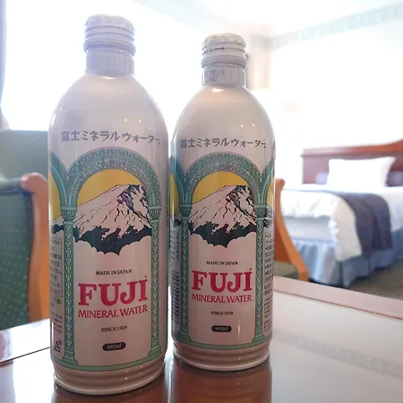 Hotel Mt. Fuji-3