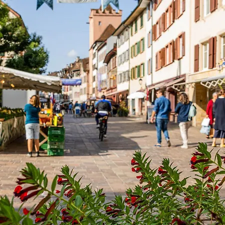 Hotel Schiff am Rhein-3