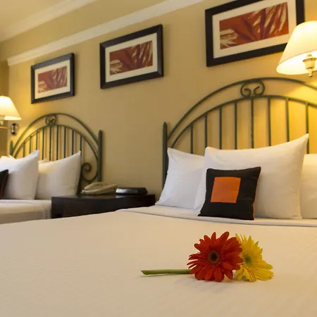Kapok Hotel-3
