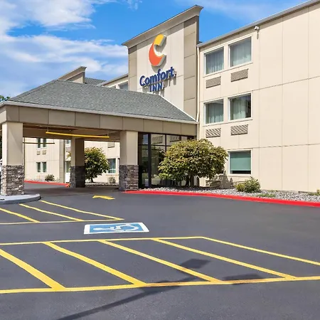 Comfort Inn Mayfield Heights Cleveland East-3
