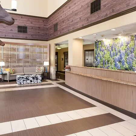 Springhill Suites By Marriott Dallas Downtown / West End-2