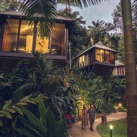 Daintree Ecolodge-3