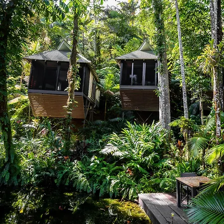 Daintree Ecolodge-2