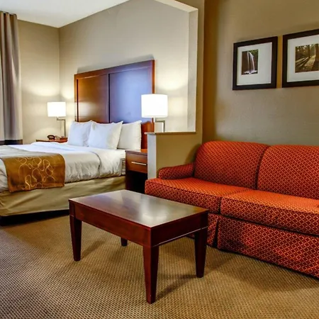 Comfort Suites Gadsden Attalla-3