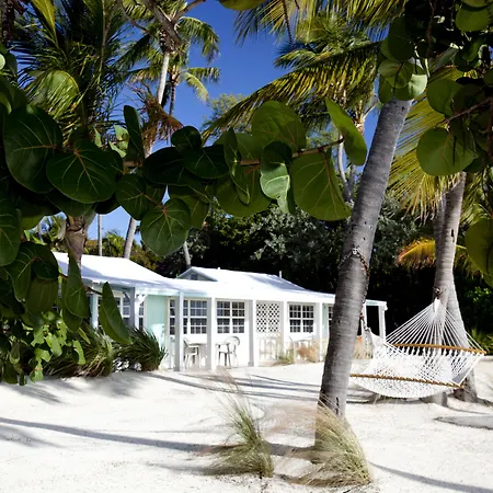 Pines & Palms Resort-3