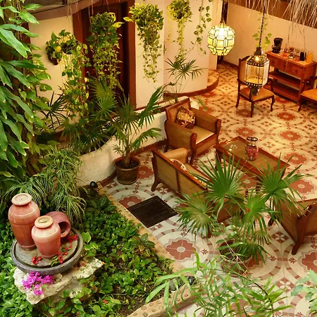 Posada Mariposa Boutique Hotel - 5Th Avenue-3