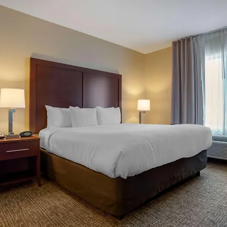 Comfort Suites Foley - North Gulf Shores-3
