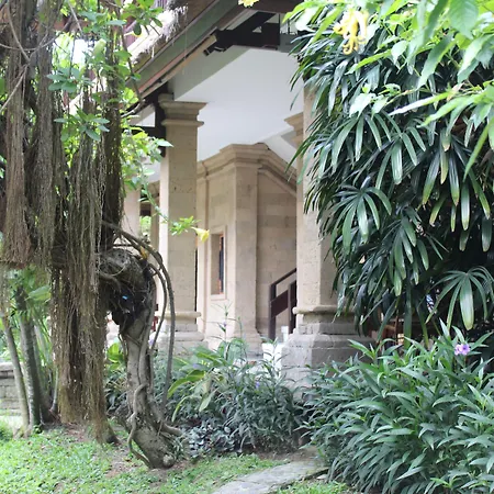 Bali Agung Village-2