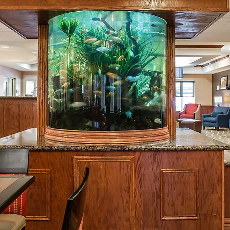 Comfort Suites Near Texas A&M - Corpus Christi-2