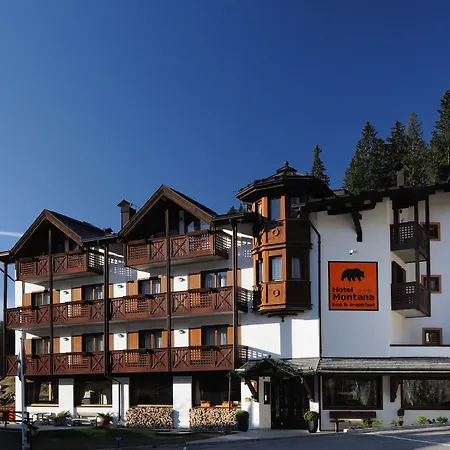Hotel Montana-3