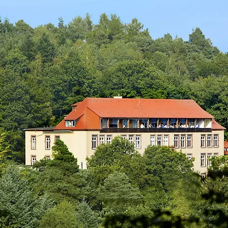 Michel&Friends Hotel Franziskushöhe-2