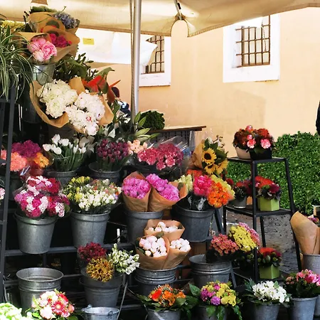 Mario De' Fiori 37-2