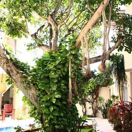 Boutique Hotel Posada 06 Tulum (Adults Only)-2