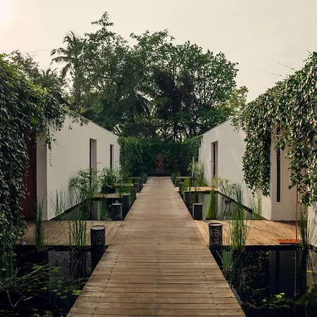 Alila Diwa Goa - A Hyatt Brand-2