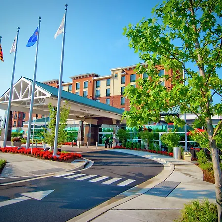 Homewood Suites By Hilton Rockville- Gaithersburg-2