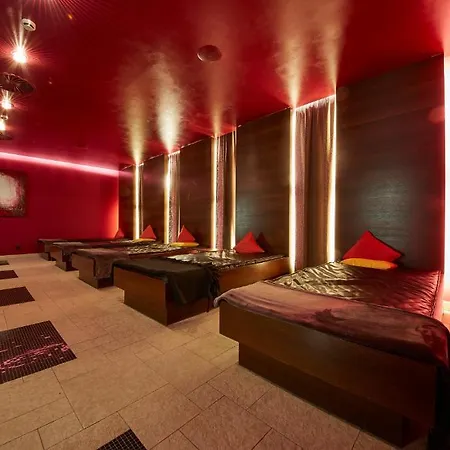 Hotel Alpine Palace-3