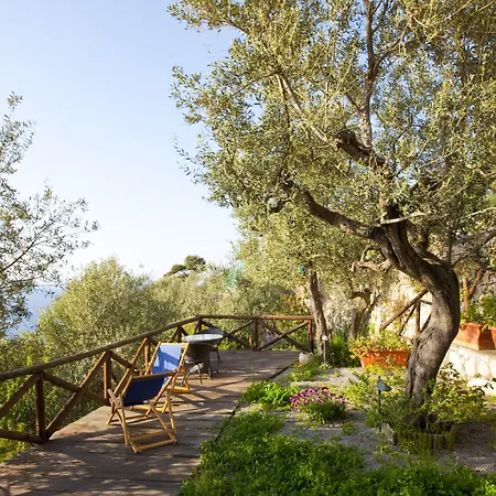 Villa Angelina-3