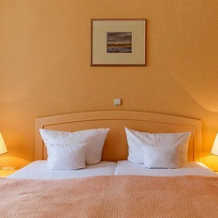 Hotel Villa Auguste Viktoria-3
