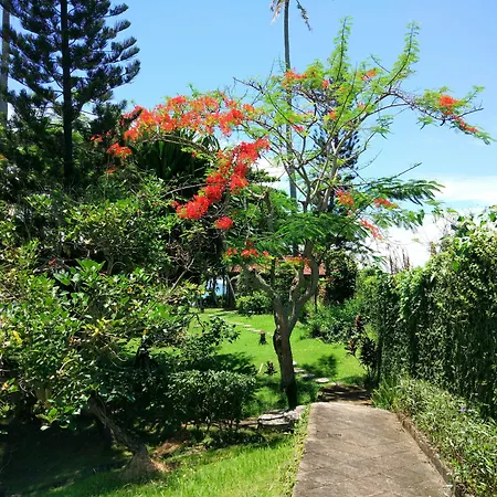 Gajah Mina Beach Resort-2