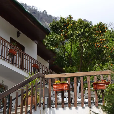 Hotel Carvalho Araujo-3