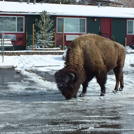 Yellowstone Gateway Inn-3