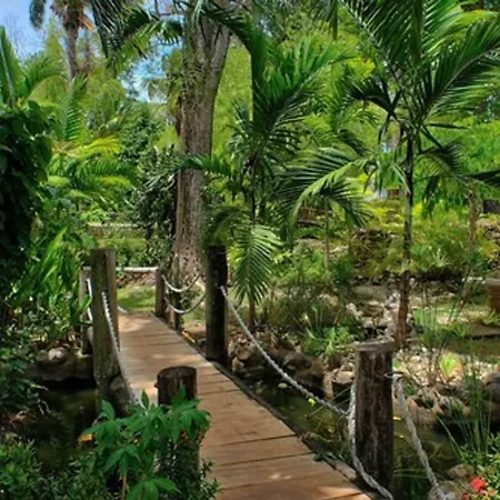 Hibiscus Lodge Hotel-2