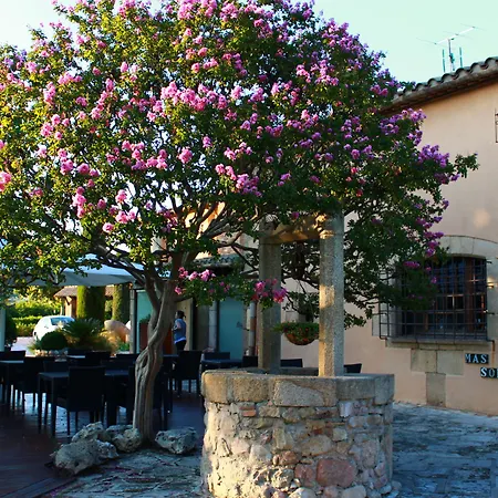 Hotel Mas Sola-3