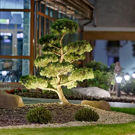 Gradiali Wellness And Spa-2