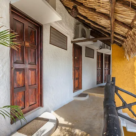 Beachfront Hotel La Palapa - Adults Only-3