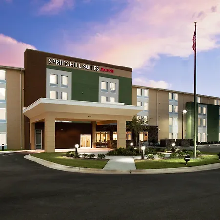 Springhill Suites By Marriott Mobile West-3