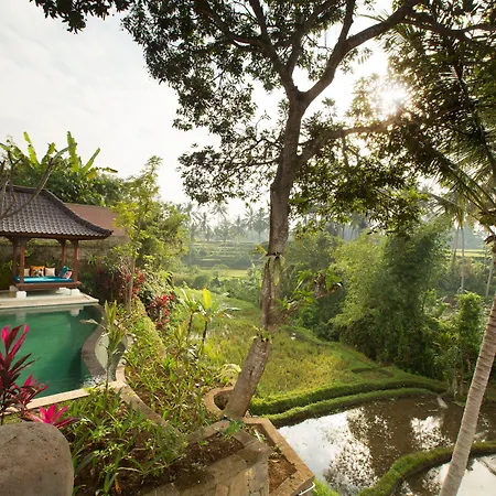 Dwaraka The Royal Villas-2