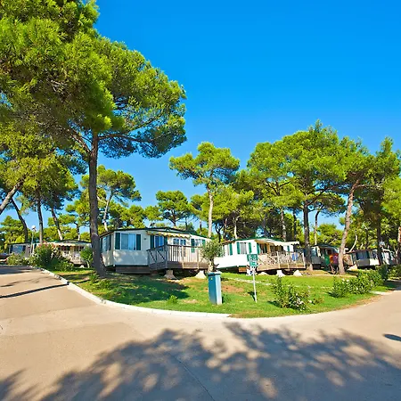 Arena Indije Mobile Homes-2