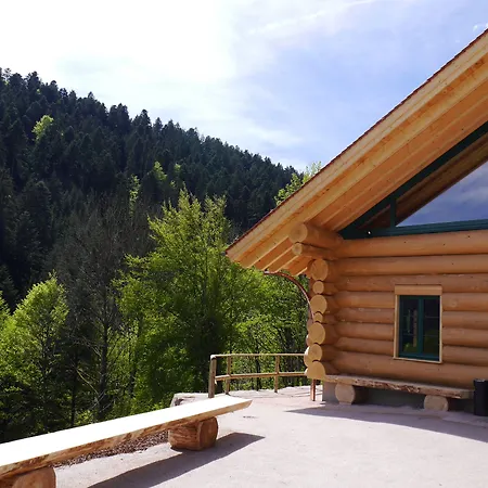 Hotel Therme Bad Teinach-3