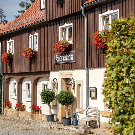 Dammschenke Gasthof&Hotel-3