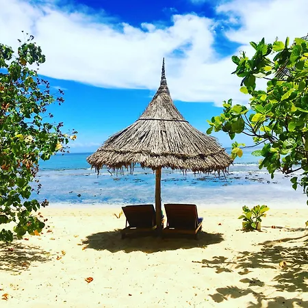 Octopus Resort-2