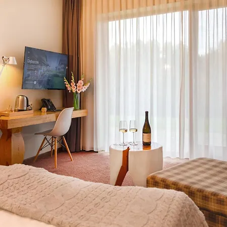 Hotel Gleboczek Vine Resort& Spa-3