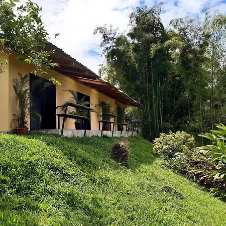 Essence Arenal Hotel, Spa & Bio Farm-2