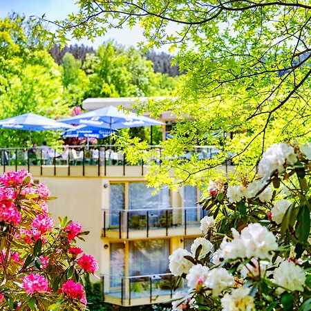 Hotel Villa Marburg im Park-3