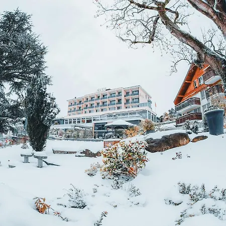 Hotel Eden Spiez-3
