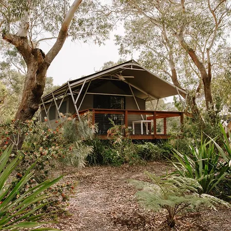 Port Stephens Koala Sanctuary-2