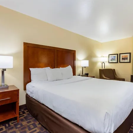 Comfort Inn & Suites North Aurora - Naperville-3