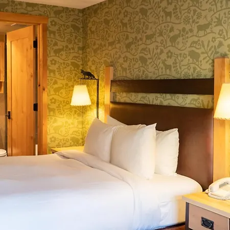 Fox Hotel And Suites-3