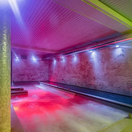 Hotel Spa Villa Pasiega-3