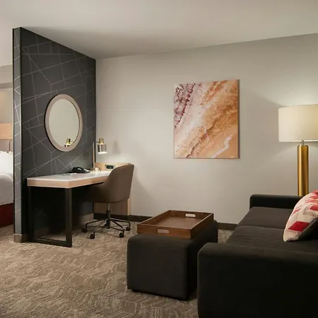 Springhill Suites By Marriott Cedar City-3