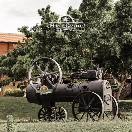 Hotel Fazenda Monte Castelo-3